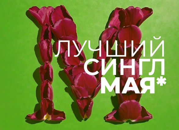 Лучшие смартфоны мая 2026 года: ТОП флагманов, за которые не жалко отдать ползарплаты